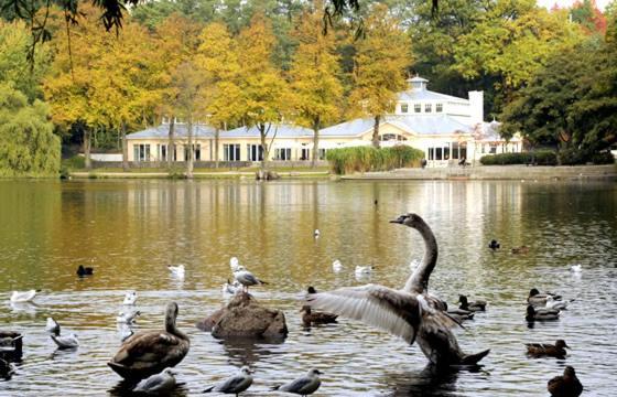 Villa Rosali Boutique Hotel Хамбург Екстериор снимка